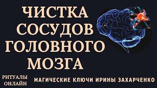 ЧИСТКА СОСУДОВ ГОЛОВНОГО МОЗГА. ГОЛОВНЫЕ БОЛИ. РОДОВЫЕ ТРАВМЫ. СОТРЯСЕНИЯ. ДАВЛЕНИЕ. МИГРЕНИ. ПОРЧИ.