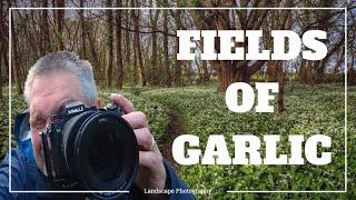 Landscape Photography...Fields Of Garlic