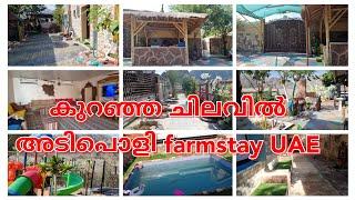 ഫുജൈറ farmstay വിശേഷങ്ങൾ കണ്ടാലോ?/Farmhouse Fujairah UAE/Best Staycation in Fujairah