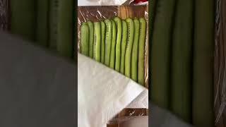 Cucumber sushi recipe and ingredients