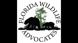 We talk with Adam Sugalski Founder and ED of OneProtest about the 2015 Florida Black Bear hunt.