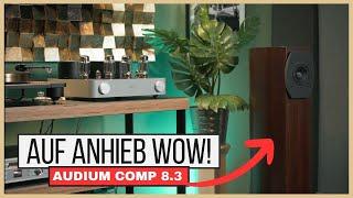 Die Audium Comp 8.3 Passiv Lautsprecher an Transistor und Röhre