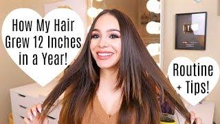 How I Grew My Hair 12 Inches in a Year!