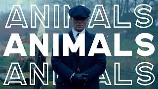 ANIMALS || PEAKY BLINDERS