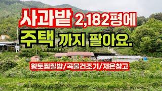 사과밭 2,182평에 주택까지 있는 물맑고 경치좋은 귀농,귀촌할 곳  ㅣ고수익창출하기 좋은 사과 주산지 예천  과수원 매매