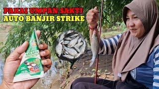 MANCING BARENG IBU NEGARA PAKAI UMPAN SAKTI MANDRAGUNA‼️BANJIR STRIKE