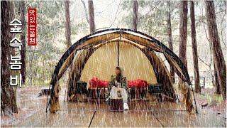 Spring rain in the forest ·CAMPING