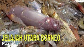 JELAJAH UTARA BORNEO | JEJAK PETUALANG (06/02/24) Part 1