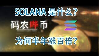 【码农哔币】Solana第一期 - Solana项目为何能取得成功？如何评价区块链项目？