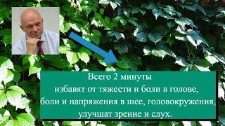 2 минуты от мигрени, головной боли, напряжения в шее, головокружения и улучшения зрения. Самомассаж