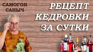 Как сделать кедровую настойку за сутки? / Рецепты настоек / Самогон Саныч