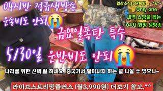 자광 자참 숭어 도다리 자연산횟감 물량폭탄 5/30일 04시반 정규라이브(월~토)️Only one 새롭고 싸고 다양한 노량진수산시장 새벽 쇼핑을 돕는 정규생방송(Live)운영~