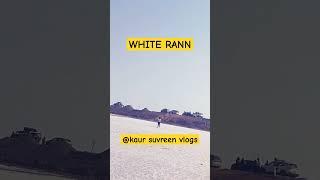 suvreen's visit to rann of Kutch| family vlog | road to Heaven|