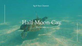 Swim With The Turtles In Half Moon Cay