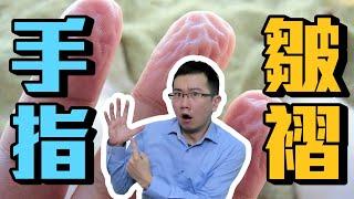 為何手指皮膚泡水後會出現皺褶? | 蒼藍鴿聊醫學EP137