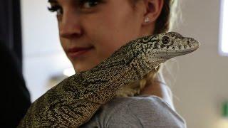 WHAT'S AN AUSTRALIAN REPTILE EXPO LIKE?  - Dāv Kaufman Vlogs