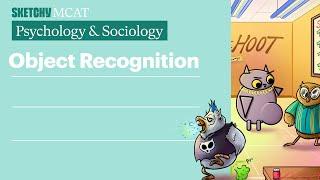 Object Recognition: Top-Down and Bottom-Up Process (Psych/Soc) | Sketchy MCAT