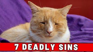 Seven Deadly Sins (According to Your Cat) - #4 Is Hilarious 