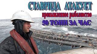 РЫБАКИ В ДЕЛЕ 50 ТОНН За час. Выборка трала. Клев сумасшедший
