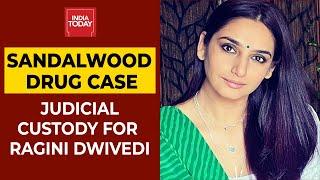 Sandalwood Drug Case: 14-Day Judicial Custody For Kannada Actor Ragini Dwivedi