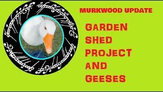 MURKWOOD FARM UPDATE 5/23/2024 my garden shed project and my geeses