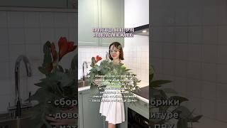 И вы не пожалеете, если доверитесь нам