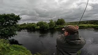 salmon dry fly take ireland  #gopro #shorts