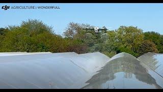 DJI Agras T50 Spraying Greenhouse in ON Canada| DJI AG Drone Distributor| Wonderfull Inc