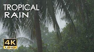 4K Tropical Rain Sounds & Relaxing Nature Video - Sleep/ Relax/ Study/ Meditate - Ultra HD