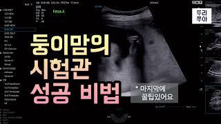 시험관 성공 꿀팁 | 6가지 비법 | 둥이맘이 전하는 시험관 성공 비법