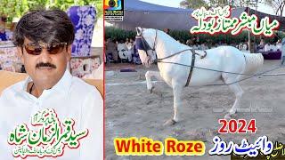 White Roze l Horse Dance l Moza Koria Arifwala Pakpatan l Mian Mubashar Mumtaz Bodla