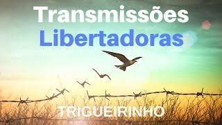 Trigueirinho | Transmissões Libertadoras