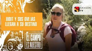 Judit y sus ovejas llegan a su destino