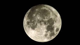 FULL MOON HD VIDEO Free Stock Footage   Free HD  background Video   no copyright