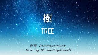 树 Tree 诗歌钢琴伴奏 Hymn Gospel Accompaniment Piano Cover 歌词字幕WorshipTogetherWT V109