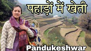 आज करी खेतों में सफाई || pahadi lifestyle vlog || AvantikaChauhanVlogs