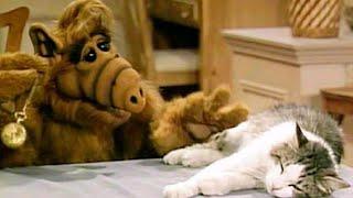 #ALF Hypnotizing Lucky 
alf funny moments gordon shumway Alf