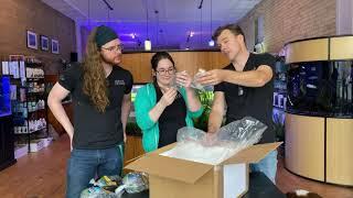 Freshwater Fish Unboxing: Rare Fish Restock