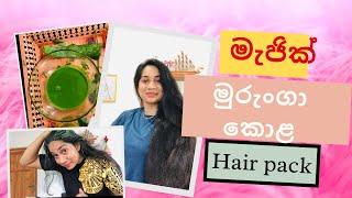 Magical moringa hair mask|මුරුංගා මැජික් හෙයා පැක්|moringa hair pack for hair growth