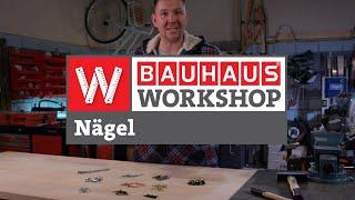 Nägel - Welcher ist der Richtige? [Experten Tipps] | BAUHAUS Workshop