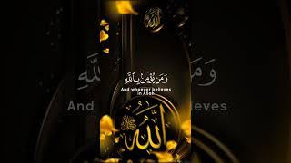 Beautiful recitation of the world  #quran