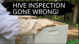Things Got Real During This Hive Inspection...