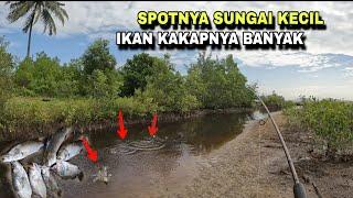 MANCING IKAN KAKAP PUTIH DI SPOT SUNGAI KECIL