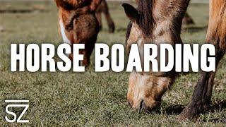 Horse Boarding at the Bar SZ Ranch