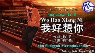 Wo Hao Xiang Ni (aku sungguh merindukanmu)