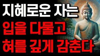 지혜로운 자는 입을 다물고 혀를 깊가 감춘다 I 나이가 들수록 입조심해야 하는 이유 I 잠 잘 때 듣는 명언 모음 I 부처님 말씀  I 쇼펜하우어 I 인생을 바꾸는 지혜