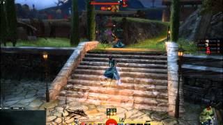 Guild Wars 2 Condition Thief PvP