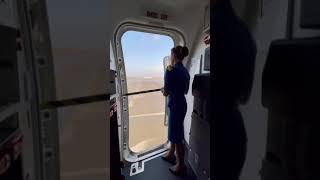 Door opening B737-800 #flyuia #shorts