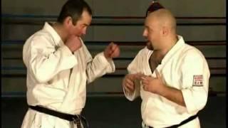 Practical Kata Bunkai: Chinto / Gankaku End Spin