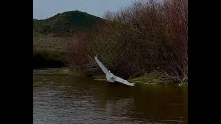 Pre-flood salt at Granite reef under the Moody red Mountain… Mid paddle pull over